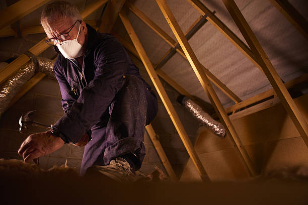 Best Cellulose Insulation in Edgewood, OH